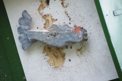 koenigderkoenige2010_21