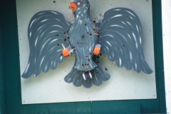 schuetzenfest_2011_montag_47