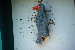 2012_schuetzenfest_montag_48