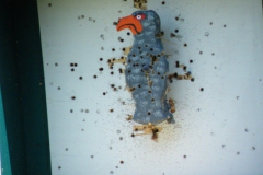 2012_schuetzenfest_montag_52