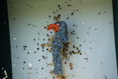 2012_schuetzenfest_montag_55