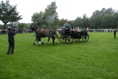 schuetzenfest_2011_sonntag_48