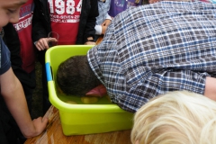 grenzfest2011_107