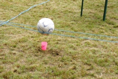 grenzfest2011_88