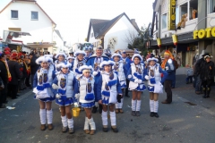 2013_karneval_200
