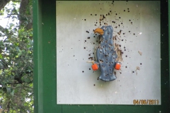 koenig_der_koenige_104