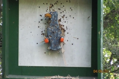 koenig_der_koenige_106