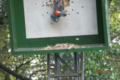 koenig_der_koenige_107