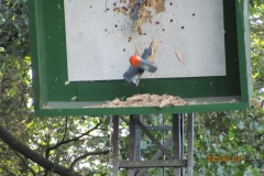 koenig_der_koenige_108