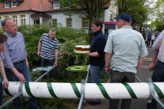 maibaum_2009_29