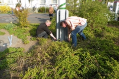 maibaum2010_3