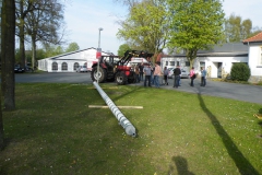 maibaum2010_30