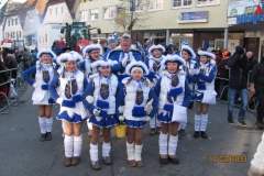 2013_rosenmontag_21