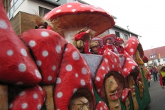 2014_rosenmontag_102