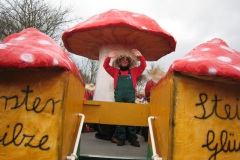 2014_rosenmontag_107