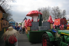 2014_rosenmontag_11