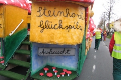 2014_rosenmontag_110