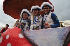 2014_rosenmontag_115