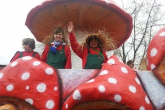 2014_rosenmontag_15