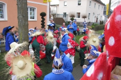 2014_rosenmontag_32