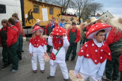 2014_rosenmontag_62