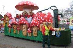 2014_rosenmontag_82
