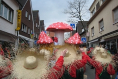 2014_rosenmontag_96