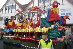 2015-rosenmontag_45