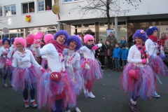 2015-rosenmontag_54