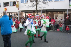 2015-rosenmontag_56