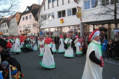 2015-rosenmontag_57