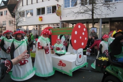 2015-rosenmontag_58