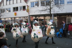 2015-rosenmontag_68
