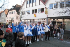 2015-rosenmontag_70