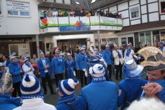 2015-rosenmontag_74