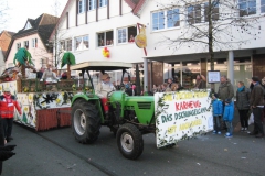 2015-rosenmontag_78