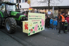 2015-rosenmontag_82