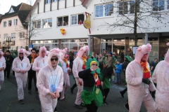 2015-rosenmontag_85