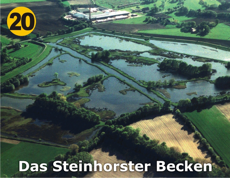 20_Das-Steinhorster-Becken