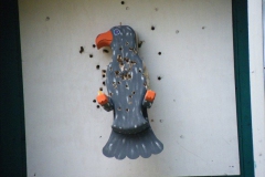 2013_schuetzenfest_sonntag_109