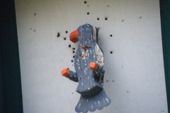 2013_schuetzenfest_sonntag_111