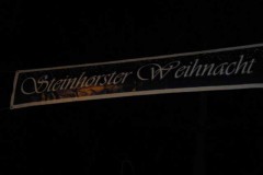 steinhorster_weihnacht2011_45