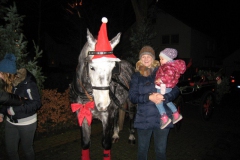 2013_steinhorster_weihnacht_74