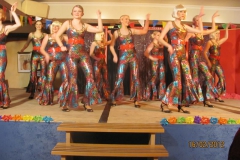 weiberkarneval2012_138